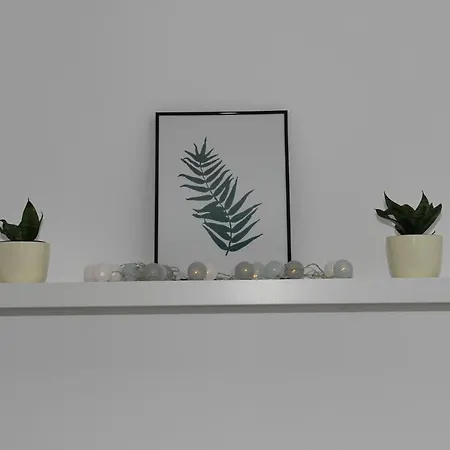 Vadvirag Appartement